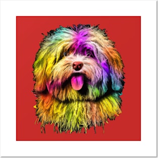 Fluffy Havanese Photo Art Posters and Art